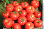 Вкус лета