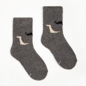 Носки детские шерстяные «Динозаврики», цвет МИКС, размер 20