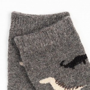 Носки детские шерстяные «Динозаврики», цвет МИКС