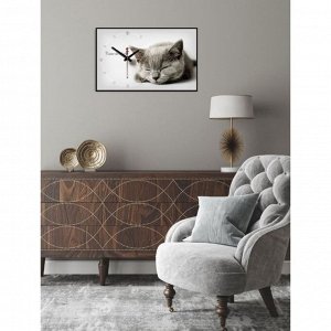 Часы-картина настенные, серия: Животные, "Серая кошка", плавный ход, 57 х 35 х 4 см