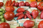Эксклюзивно. Семена Минусинские томаты. Набор из 16 сортов. + Подарок-Сюрприз всем покупателям набора!