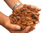 Самая лучшая кора сосны пинии для ваших орхидей. Пакет 2 л.