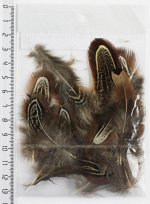 Перо фазана №14