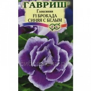 Глоксиния Брокада синяя с белым F1 (Гавр)