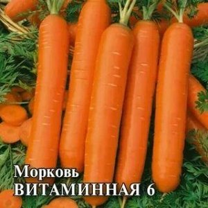 Морковь Витаминная 6 (Марс) (тупоконечная, 160 г, сочная, сладкая, лежкая)