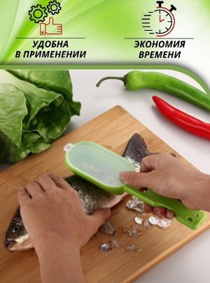 Нож для чистки рыбы