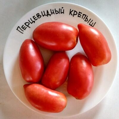 Авторские томаты премиальной селекции. Не гибриды
