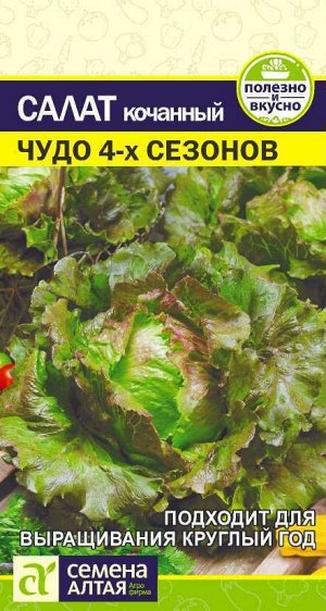 Салат Чудо 4 сезонов 0,5 гр