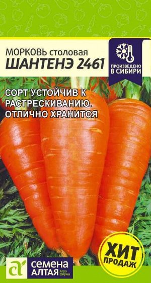 Морковь Шантенэ 2461 2гр