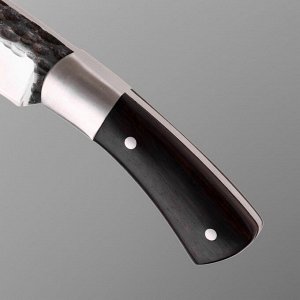 Нож охотничий "Вистан" 21,5см, клинок 120мм/4,9мм, коричневый
