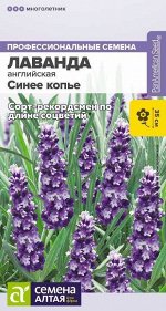 Цветы Лаванда Синее копье узколистная/Сем Алт/цп 5 шт. многолетник НОВИНКА