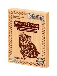 Набор для выжигания ДЕСЯТОЕ КОРОЛЕВСТВО 01731 Без рисунка 5шт