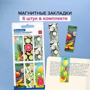 Закладки для книг МАГНИТНЫЕ, "FRUITS", набор 6 шт., 60x20 мм, BRAUBERG, 113160