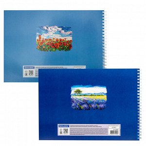 Альбом для рисования А4 48 листов, гребень, обложка картон, BRAUBERG, 205х290мм, Летний пейзаж (2 вида), 106328