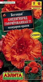 Бегония Америгибрид Мандарин оранж гофр. F1 (Код: 90100)