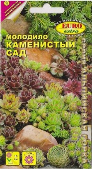 Молодило Каменистый сад (Код: 7774)
