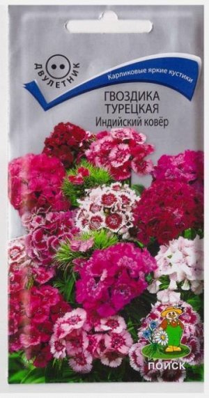 Гвоздика Турецкая Индийский Ковер (Код: 66941)