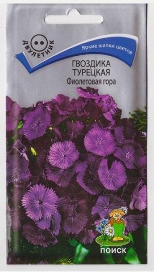 Гвоздика Турецкая Фиолетовая гора (Код: 67676)