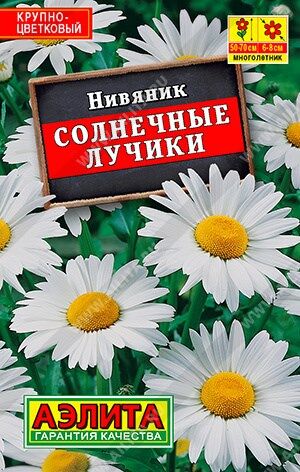 Нивянник Солнечные лучики лидер (Код: 90086)
