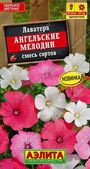 Лаватера Ангельские мелодии (Код: 89971)