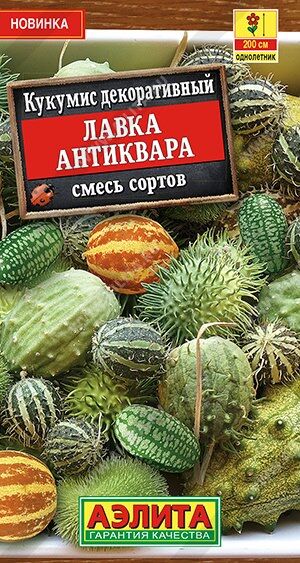 Кукумис декоративный Лавка антиквара (Код: 90114)