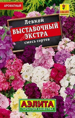 Левкой Выставочный экстра (смесь) лидер (Код: 90083)