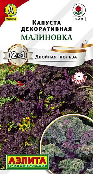 Капуста декоративная Малиновка (Код: 90070)