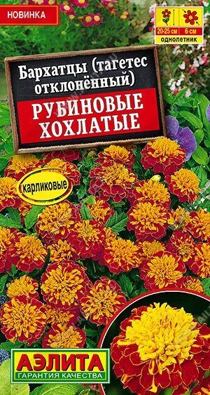 Бархатцы Рубиновое хохлатье (Код: 89964)