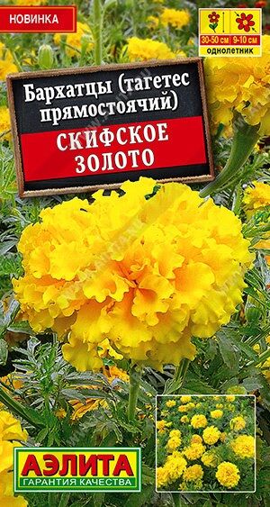 Бархатцы Скифское золото (Код: 90099)