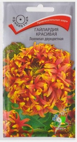 Гайлардия Лоллипап (Код: 9744)