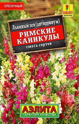 Львиный зев Римские каникулы (смесь) (Код: 8591)