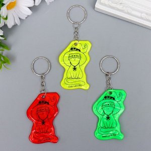 Брелок пластик светоотражающий "Кошка-ведьмочка" МИКС 5,7х3,9 см