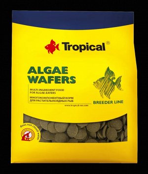 Algae Wafers - Корм для растительноядных рыб в виде тонущих чипсов.