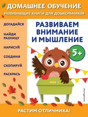 Динч Б. Развиваем внимание и мышление: для детей от 5 лет