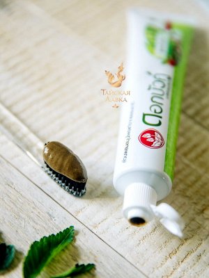 Зубная паста лечебно-профилактическая травяная Twin Lotus / Twin Lotus Original Herbal Toothpaste
