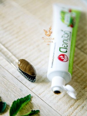 Зубная паста лечебно-профилактическая травяная Twin Lotus / Twin Lotus Original Herbal Toothpaste