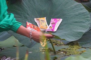 Спа-мыло в мочалке из люфы "Фруктовый Йогурт" Panatip / Panatip Yoghurt With Fruit Spa Herbal Soap With Loofah Bag