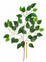 Ветка листья фикуса зеленая 65 см HS-0046-4