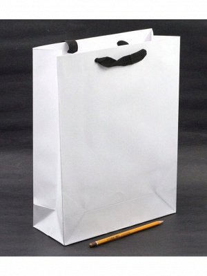 Пакет крафт с ручками 25.5 х 33 х 10 см цвет микс HS-5-4