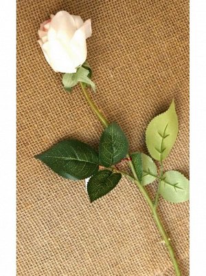 Роза бутон 54 см цвет белый