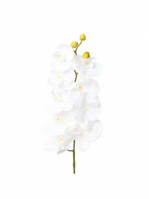 Орхидея 97 см цвет белый JT-002OR/WH97