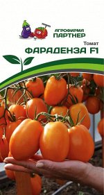 Томат Фараденза F1 / Гибриды томата с желто - оранжевыми плодами