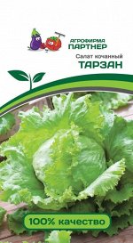 Салат кочанный Тарзан