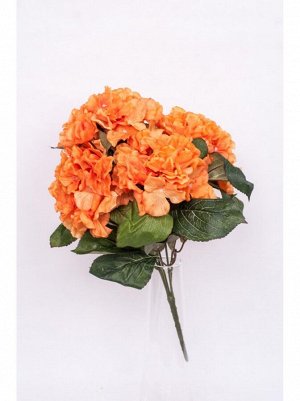 Гортензия букет 5 цветков оранж