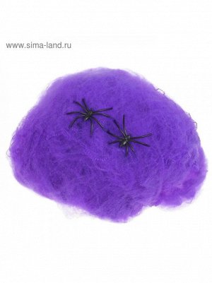 Паутина 2 паука фиолетовый прикол