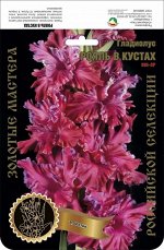 Гладиолус Рояль в Кустах 595,Фотин 2 р-р 7шт (Ф)