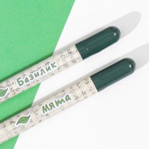 Набор для выращивания, карандаши подарочные «Базилик + Мята», mini, простые чернографитные, 2 шт.
