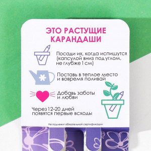 Набор для выращивания, карандаши подарочные «Лаванда и Сирень», mini, простые чернографитные, 2 шт.