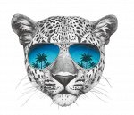 Термонаклейка для одежды &quot;Леопард в очках&quot;, 19.9*22 см