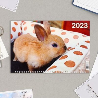 Календари, ежедневники, планинги 2023, фотоальбомы и рамки